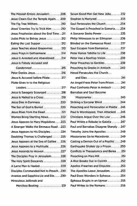 The Story of the Bible in 365 Readings: See and Understand the Grand Arc of Scripture By: Ed Strauss