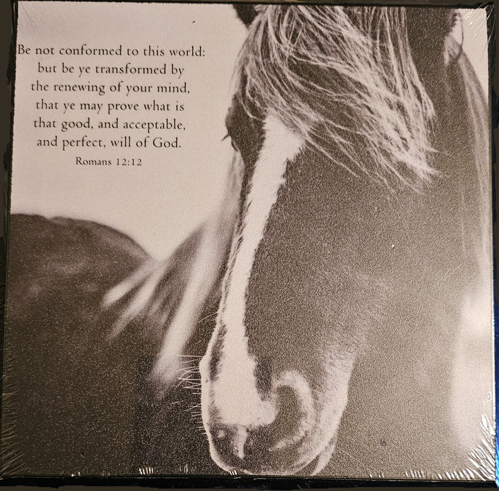 Be not conformed to this world: but be ye transformed  - Wood Plaque
