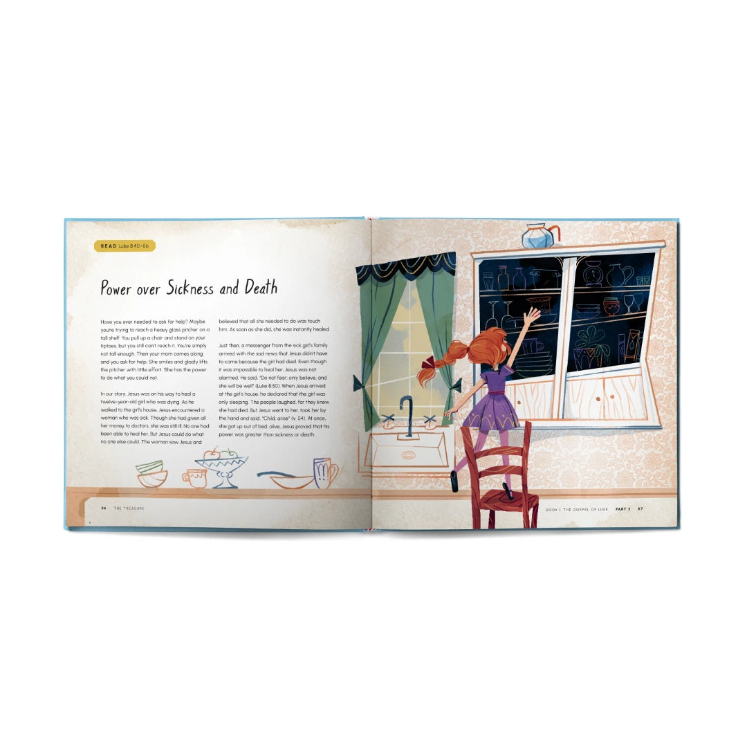 The Treasure: Ancient Story Ever New of Jesus and His Church Marty Machowski and Flavia Sorrentino