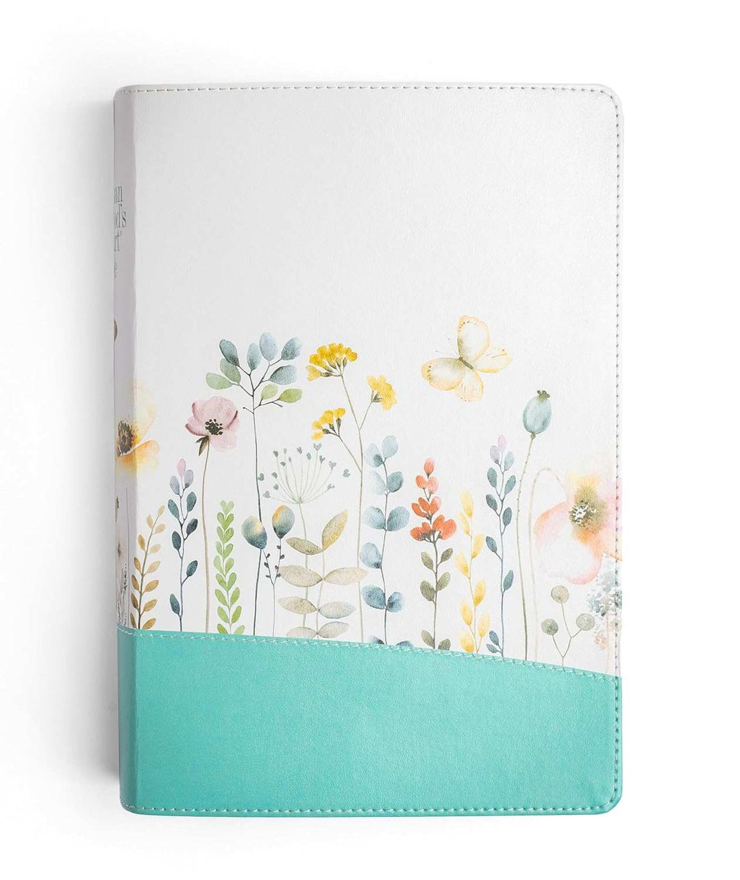 Woman BIble